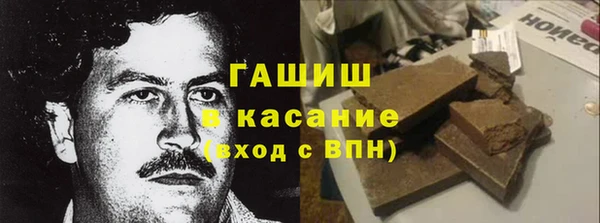 гашик Алексин