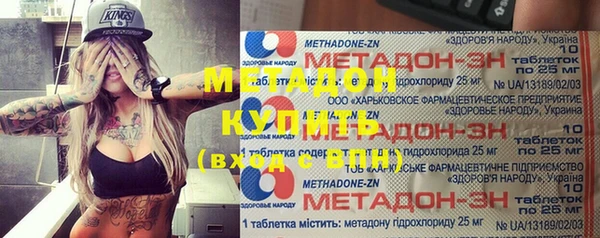 гашик Алексин