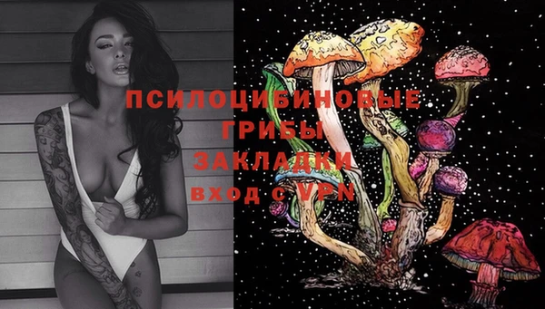 гашик Алексин
