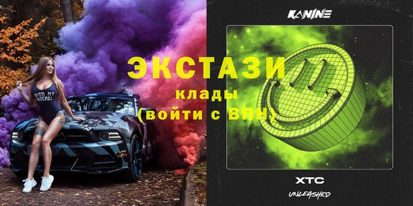 гашик Алексин