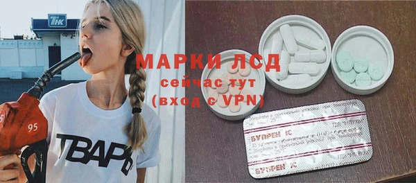 гашик Алексин