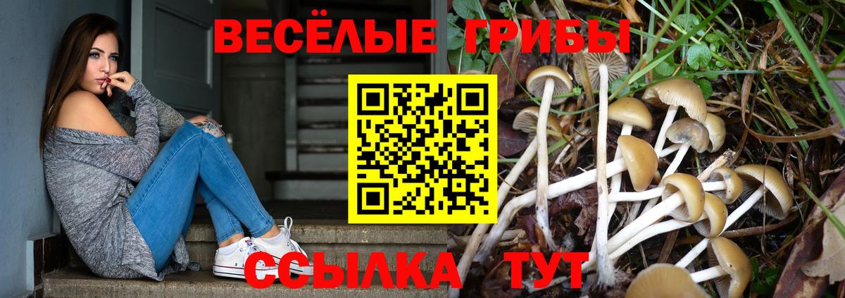 Джанкой  Галлюциногенные грибы мицелий  Вход с VPN 