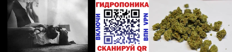 Бошки Шишки MAZAR Джанкой